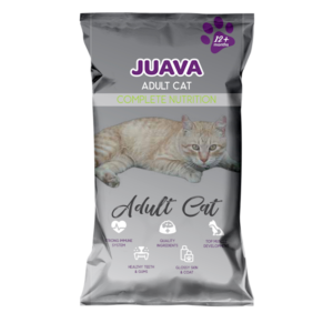 JUAVA ADULT CAT
