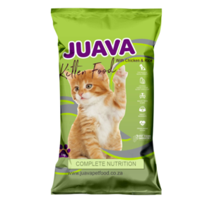 Juava Kitten